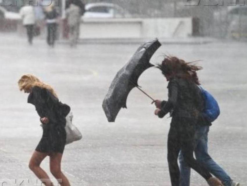 Воронежские спасатели предупредили о сильном ветре в начале рабочей недели