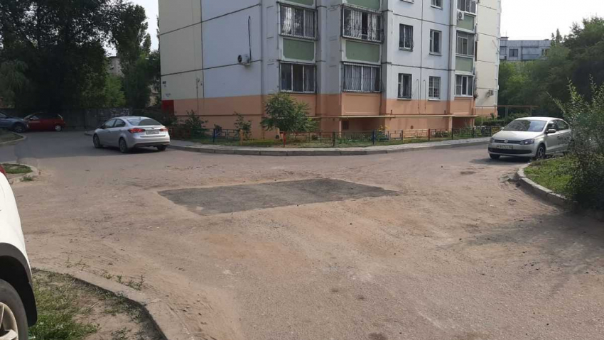 Выросшие посередине дороги деревья закатали в асфальт в Воронеже