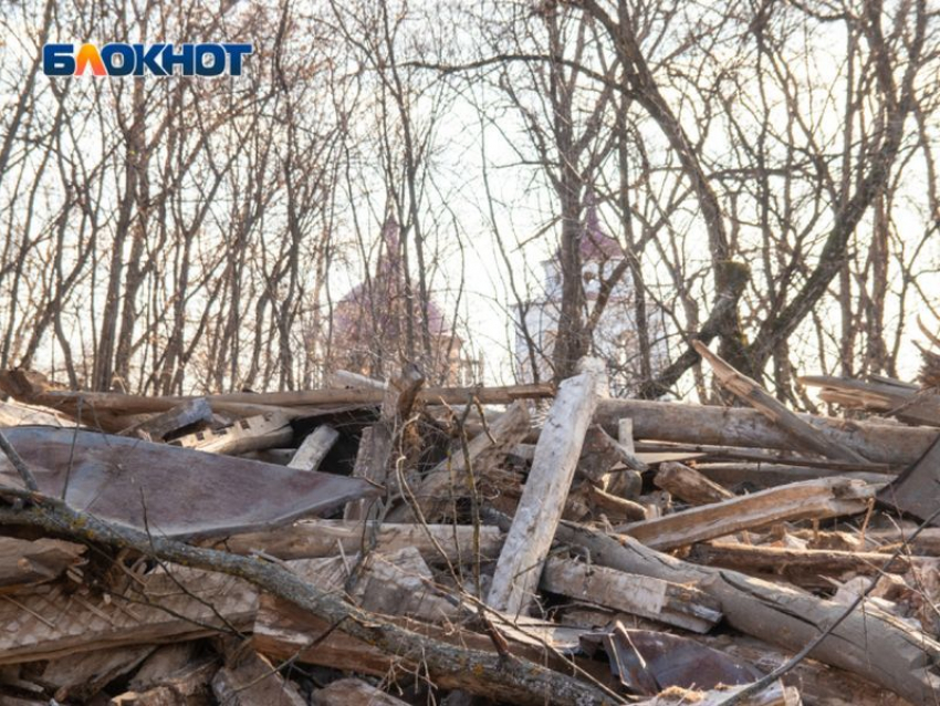 Снос старинной усадьбы Олениных под Воронежем привел к уголовному делу