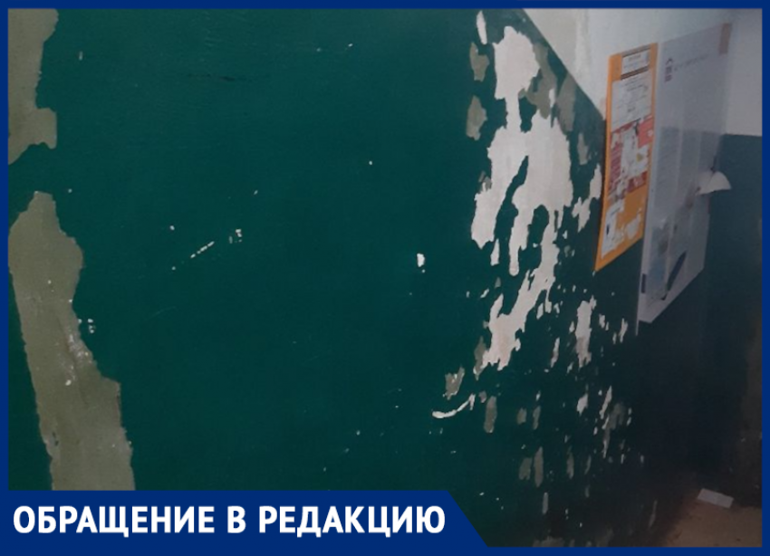 «Жалкое зрелище» 