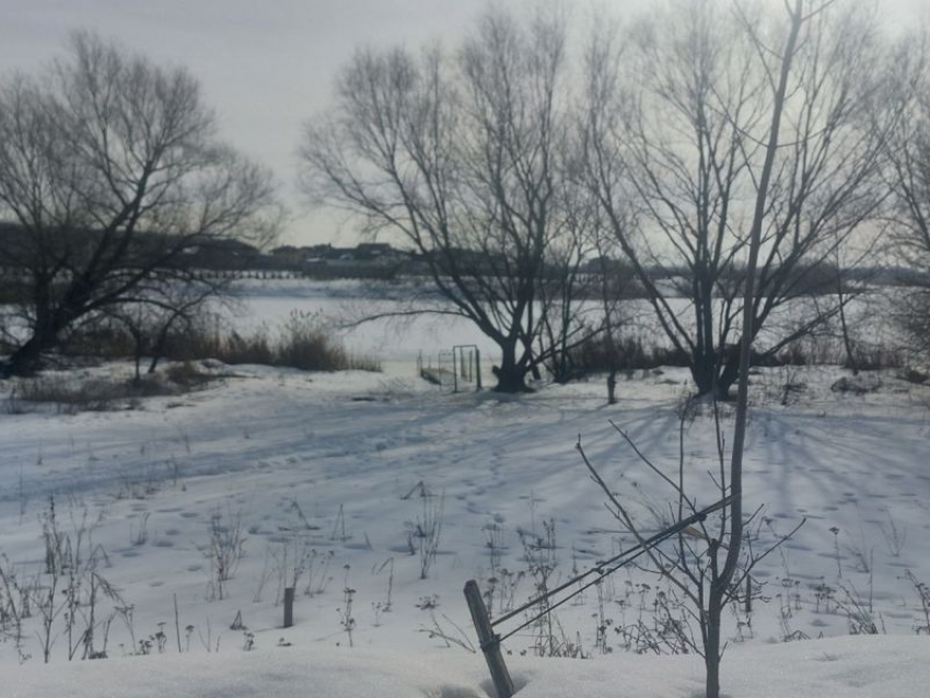 Участок в водоохранной зоне выставили на продажу почти за 7 млн рублей в Воронеже