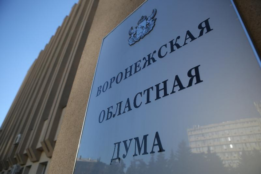  Денежную компенсацию за свою работу продолжат получать депутаты Воронежской облдумы 