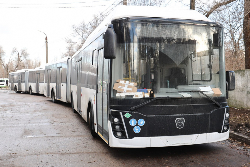 Стало известно, на какие маршруты выйдут автобусы-гармошки в Воронеже