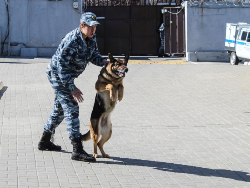 Воронежцев, отслуживших в армии, зовут охранять СИЗО за деньги 