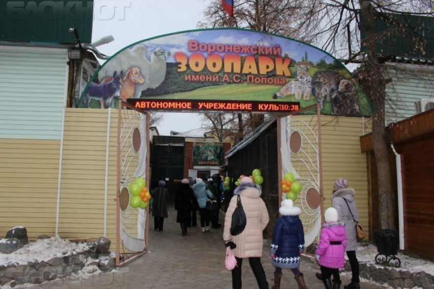 В Воронежском зоопарке пройдет «День открытых дверей»