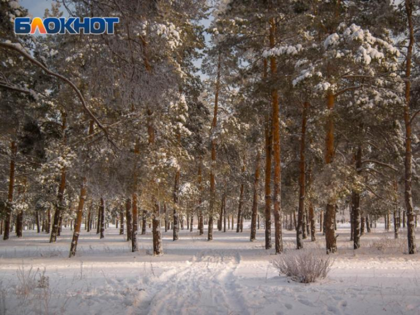 Воронежцев предупредили о бродячем эксгибиционисте-педофиле в центре города