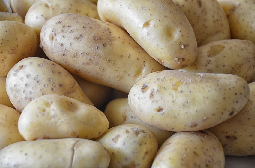 В Воронежскую область запретили ввоз 25 тонн картофеля из Украины