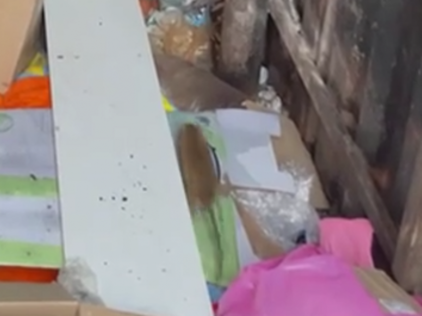 Колония крыс окружила мусорные контейнеры рядом с детской площадкой в Воронеже