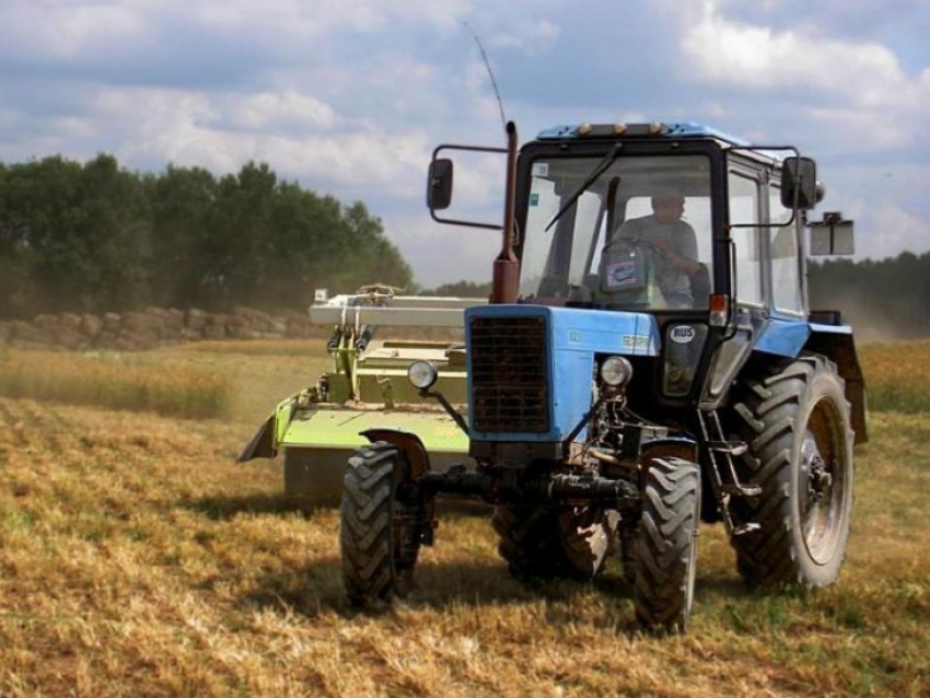 В Семилукском районе предприниматель превысил количество пестицидов при обработке почвы