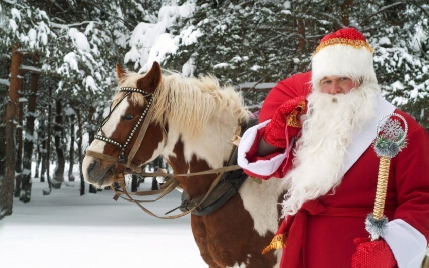 В Воронеже цена на Деда Мороза может достигать 10 тысяч рублей