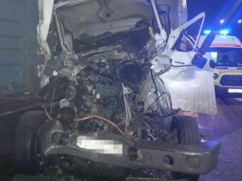 Последствия смертельной аварии грузовиков на М-4 показала на фото воронежская полиция