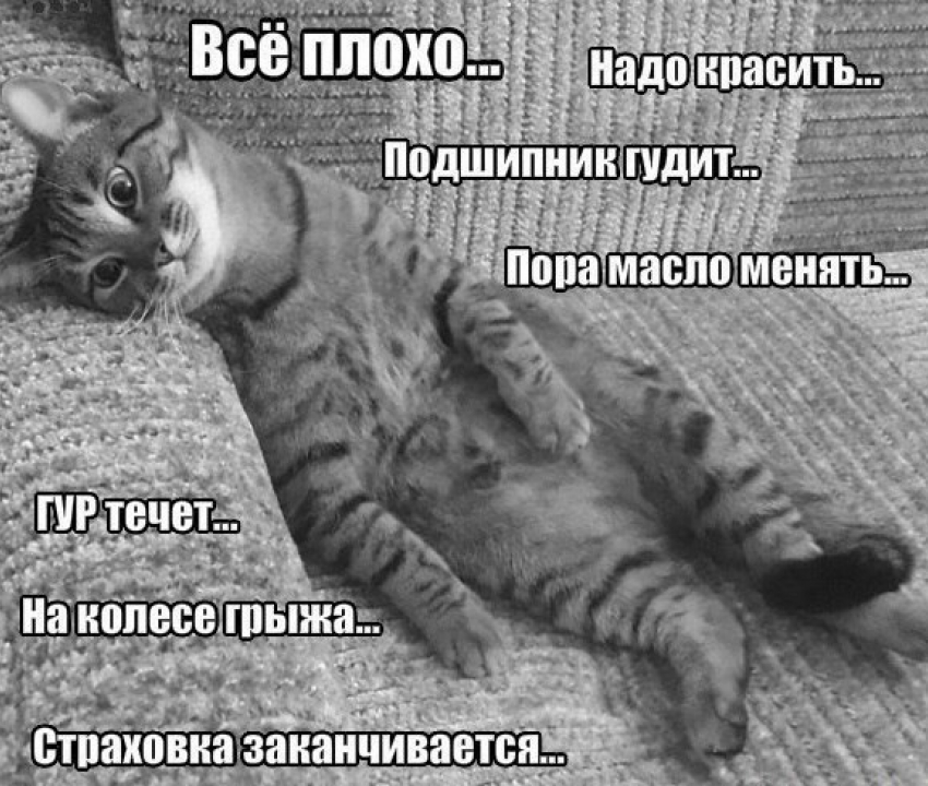 Мысли типичного автомобилиста заставили воронежцев загрустить