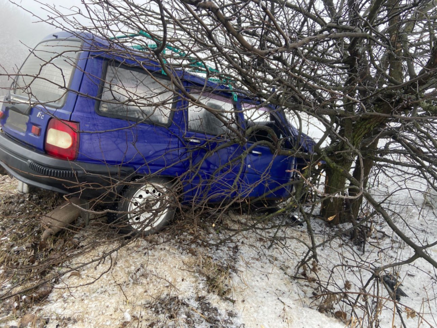 Синяя легковушка нанизалась на дерево в Воронежской области