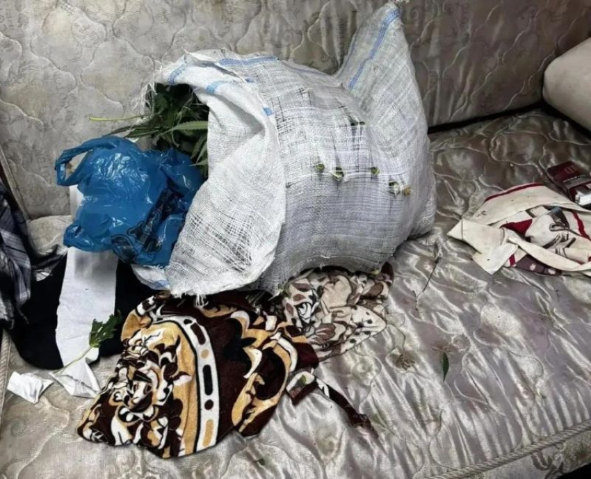 Килограмм марихуаны прятал мужчина в Воронежской области 	