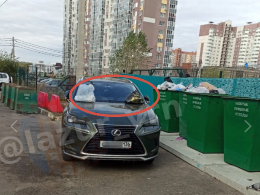 Грязное наказание придумали воронежцы для соседа на Lexus