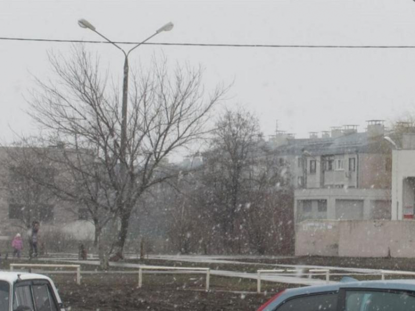 Нормальная зима вернётся в начале новой рабочей недели в Воронежской области