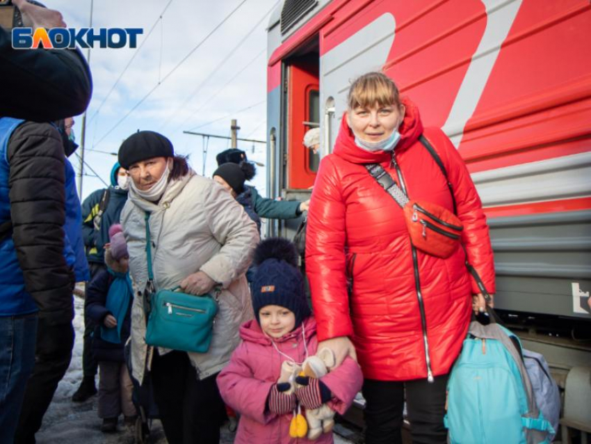 Красный Крест направит в Воронеж тонны гуманитарной помощи для беженцев из Донбасса