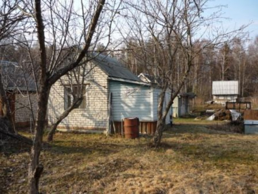 В Воронежской области трое мужчин обокрали 7 дачных домиков и ограбили приятеля