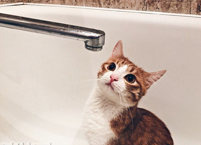 Названа причина отключения воды в Северном районе Воронежа