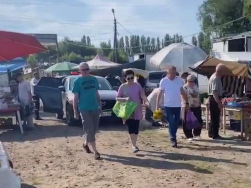 Стало известно, куда переехал Птичий рынок в Воронеже