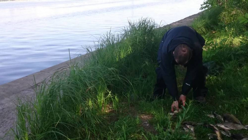 Человеческую ногу выловили из Воронежского водохранилища