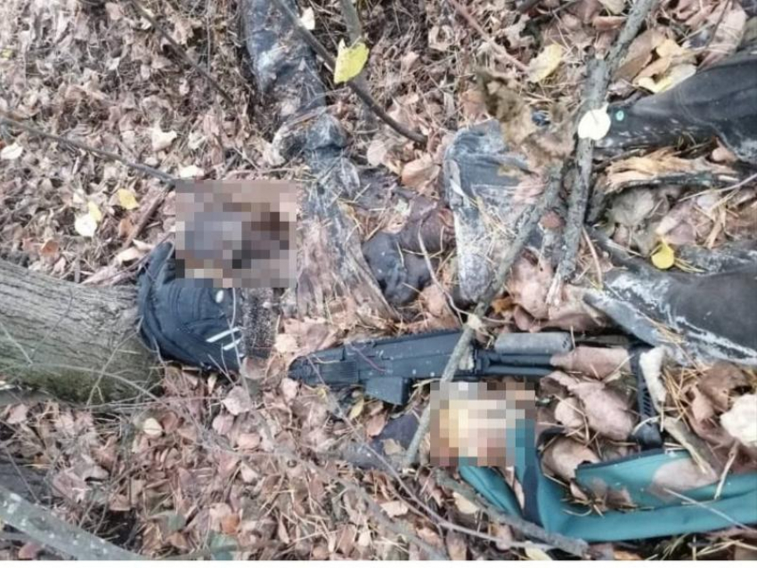 Останки воронежца, расстрелявшего брата, нашли в лесу 