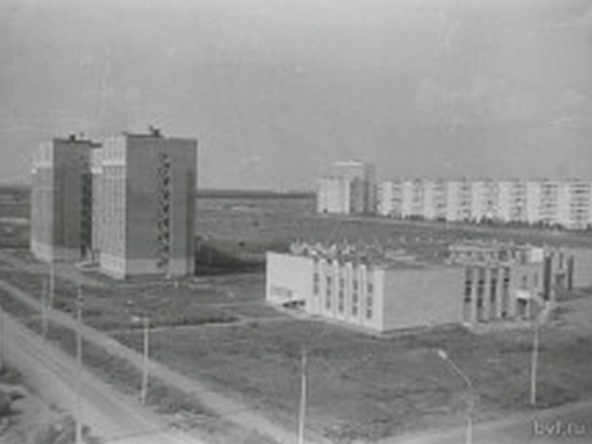Ровно 55 лет назад был образован Воронежский государственный институт искусств