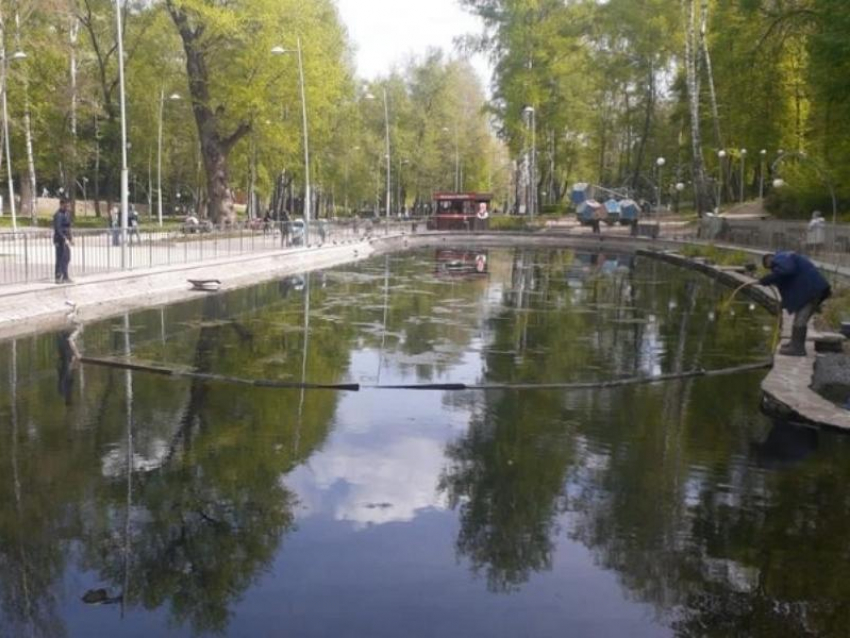 Систему водоотведения для родников за 1,2 млн рублей сделают в Центральном парке Воронежа