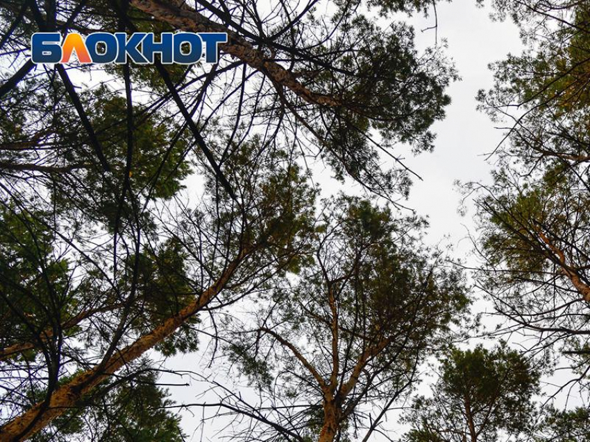 Тело мертвой женщины обнаружено около одного из домов на 9 Января в Воронеже