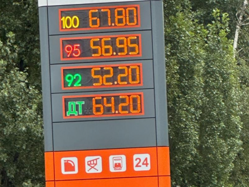 Цены на бензин в Воронежской области проверит УФАС 