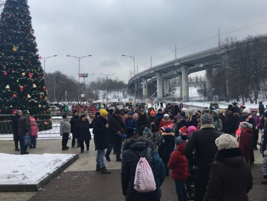 В Воронежском центральном парке открыли новогоднюю елку в идеальный день еврозимы
