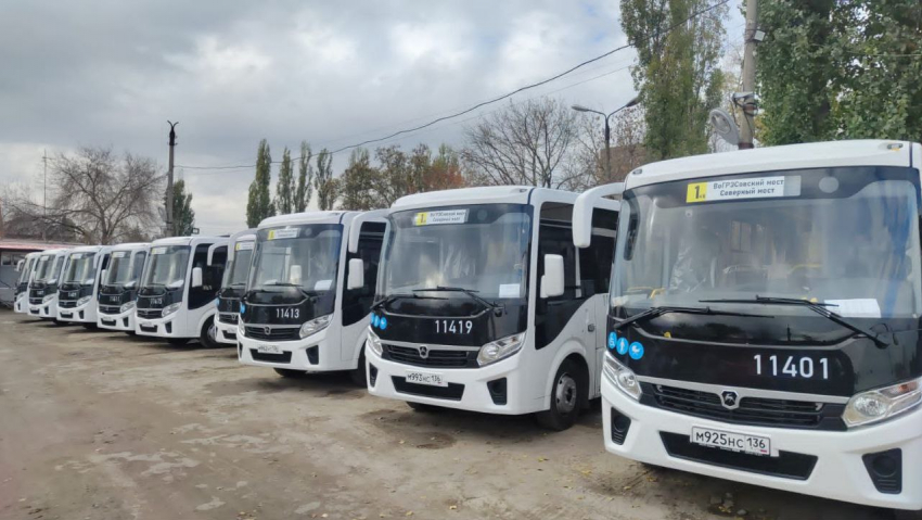 Стало известно количество новых автобусов, которые поступят на маршрут 1КВ в Воронеже