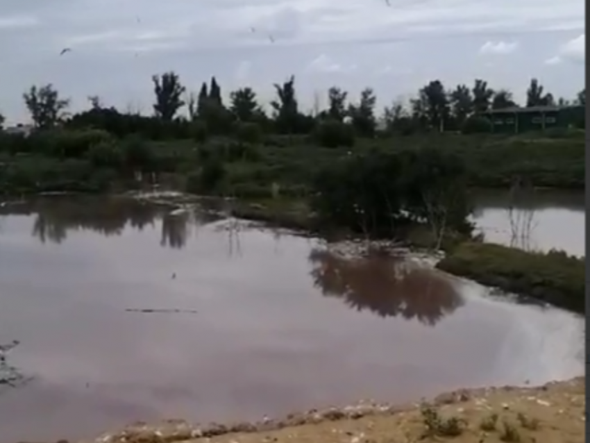 Заполнило все говном: тошнотворное озеро показали на видео в Воронежской области