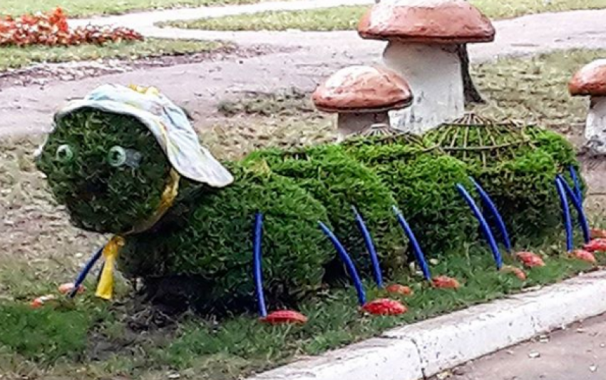 Уродливая клумба в виде сороконожки в воронежском дворе привела в ужас горожан