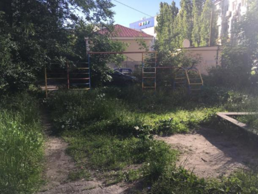 Воронежцам предложили вскладчину привести дворы в порядок