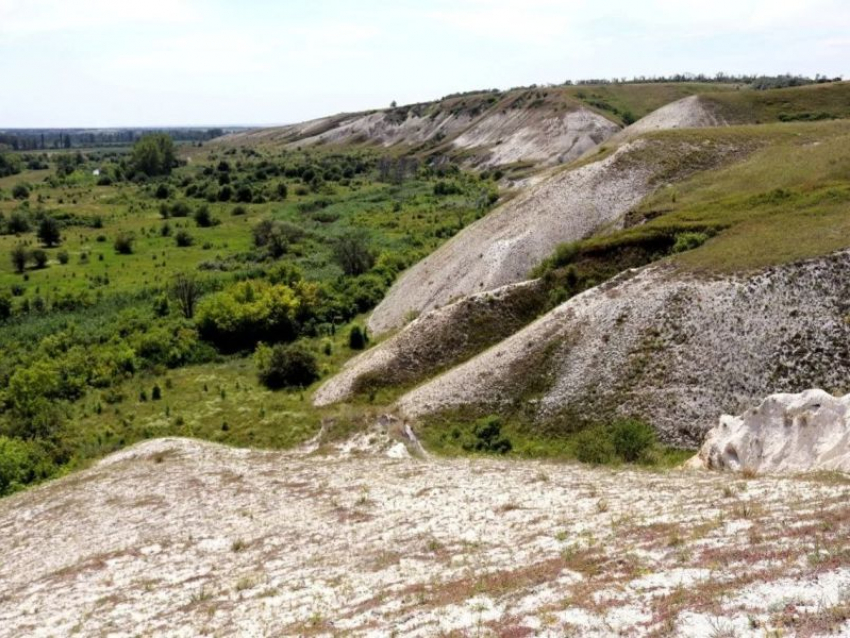Тревогу из-за создания заповедной зоны выразили жители Воронежской области