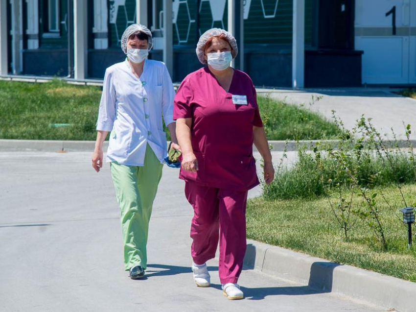 Почти 2 тысячи воронежцев попали в больницу после укусов клещей