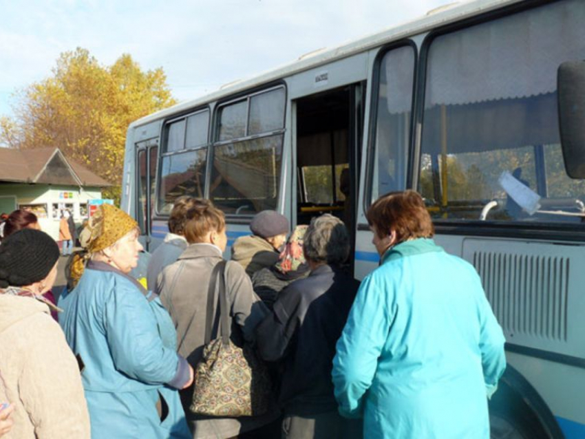 Воронежские власти решили продлить дачный маршрут 53сб
