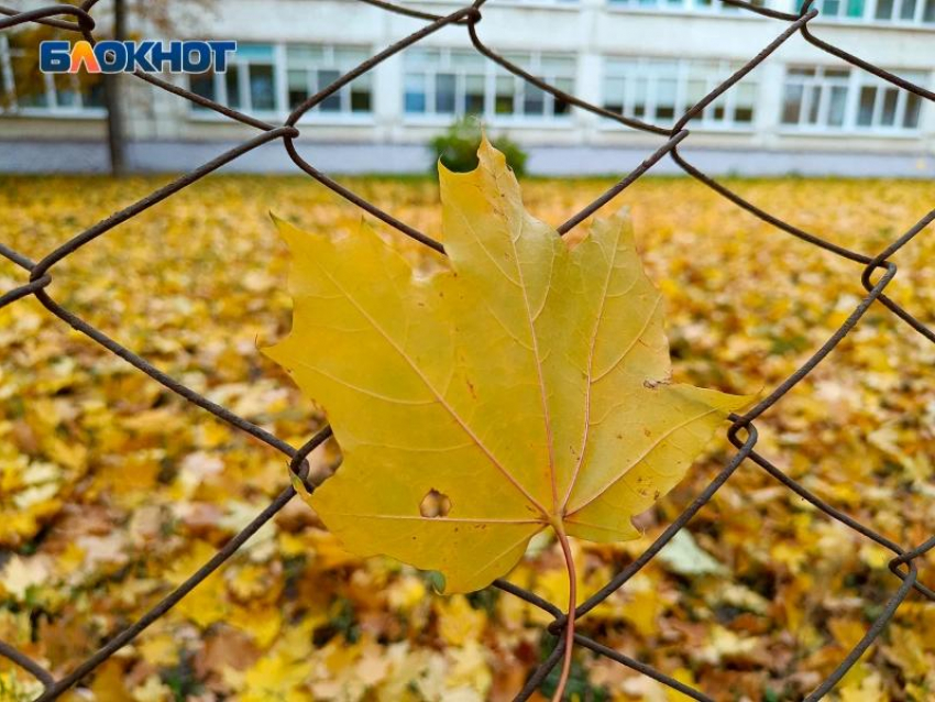 Теплом побалует воронежцев южный циклон перед первыми выходными ноября