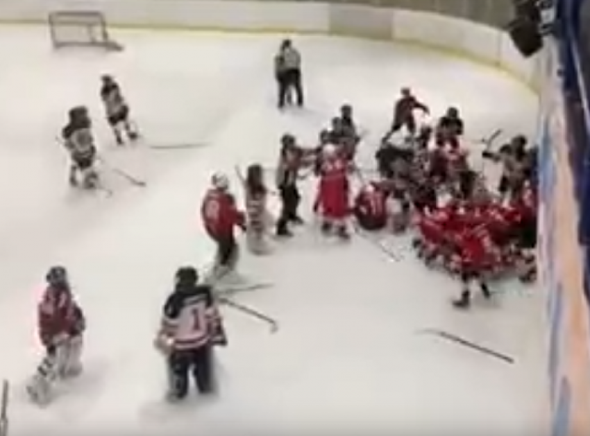 Опубликовано видео массовой драки с участием маленьких воронежских и украинских хоккеистов