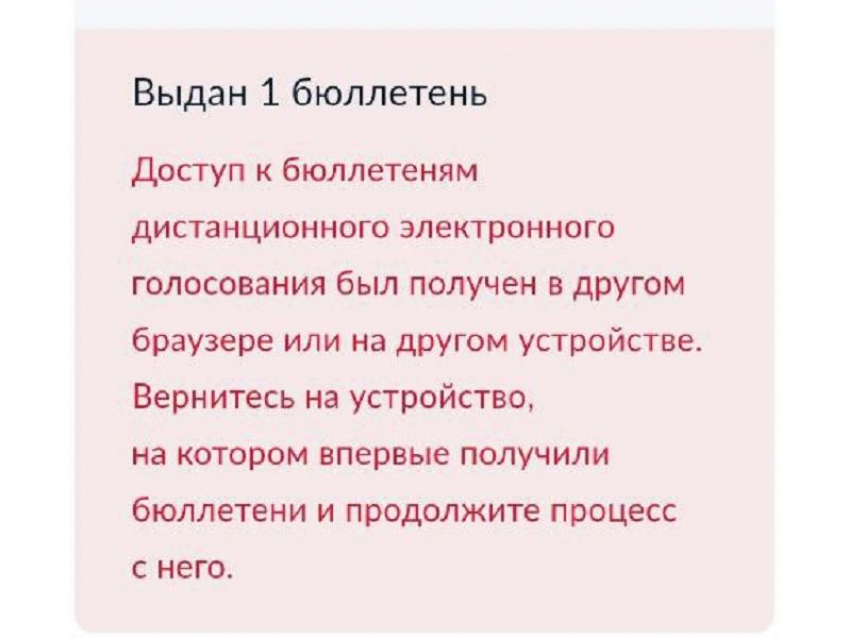 Жительница Воронежа не смогла за 24 попытки проголосовать на выборах президента