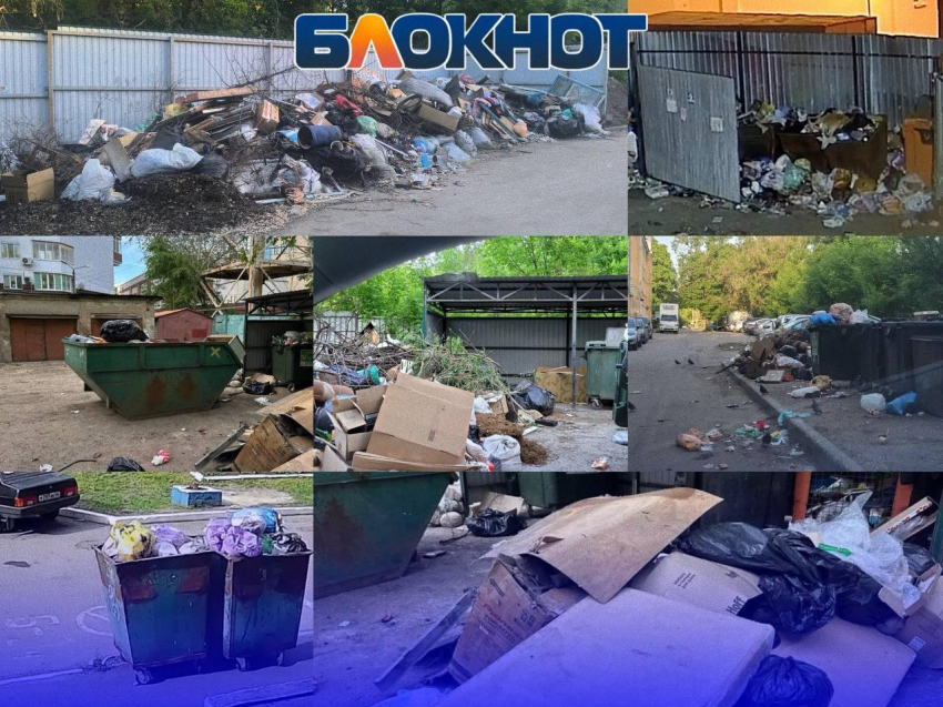 «Как о стенку горох»: свалка длиной 10 метров, хронический бардак на Пушкинской и мусор, поглотивший контейнеры на Красных Зорь