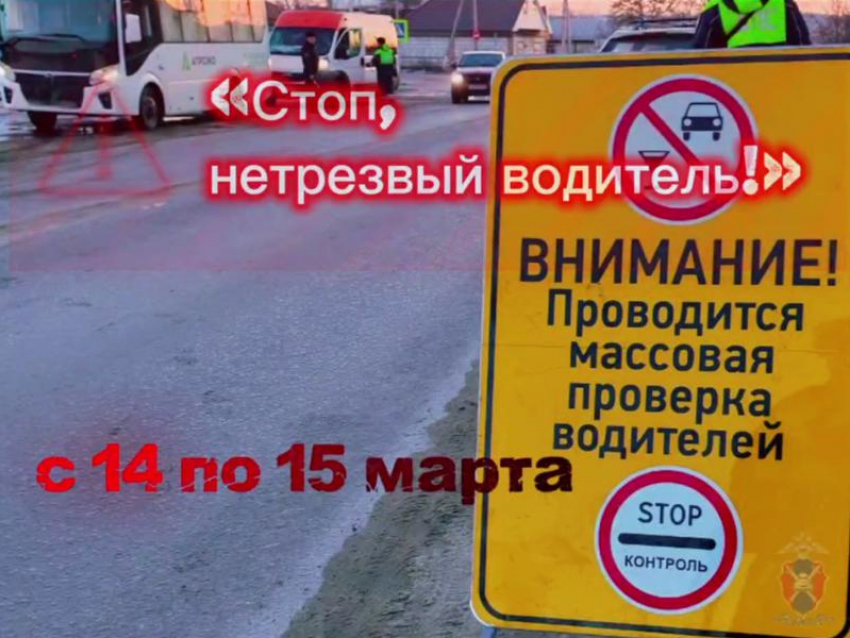 Охоту на пьяных водителей объявили в ГАИ Воронежской области