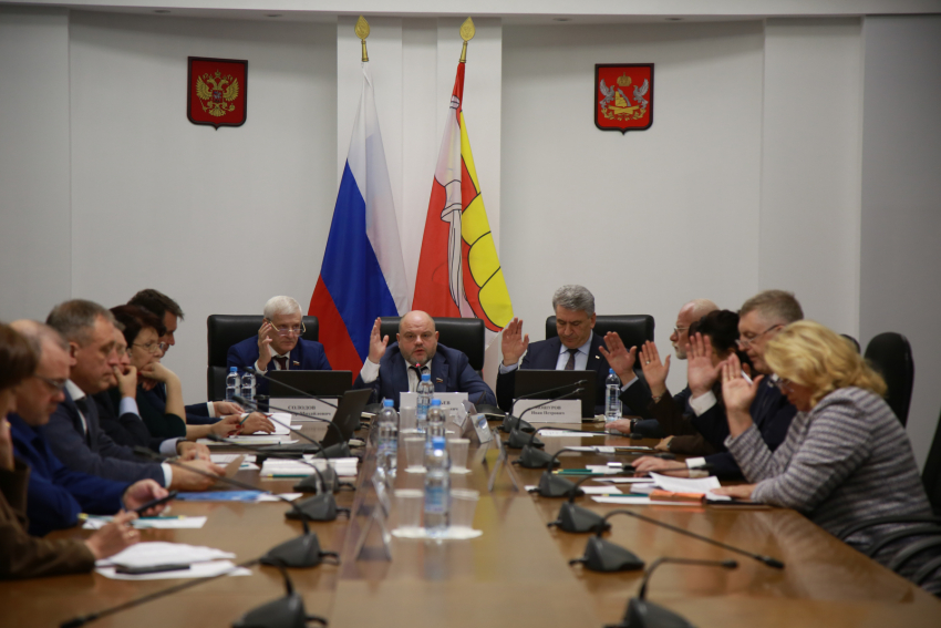 Почему депутатам можно пропускать важные заседания, ответили в Воронежской облдуме 