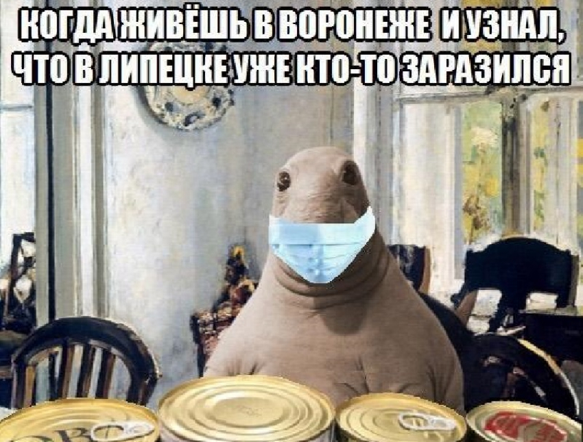 Интернет-мемом со Ждуном высмеяли продуктовый ажиотаж в Воронеже