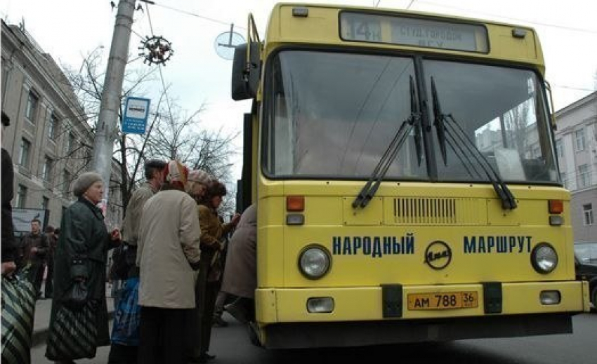 В Воронеже отменят народные бесплатные автобусы