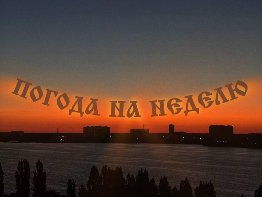 Осенний переполох: какие осадки навестят Воронеж на будущей неделе