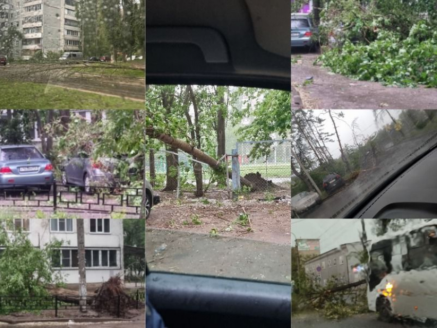 Массовый деревопад произошел из-за погодного армагеддона в Воронеже