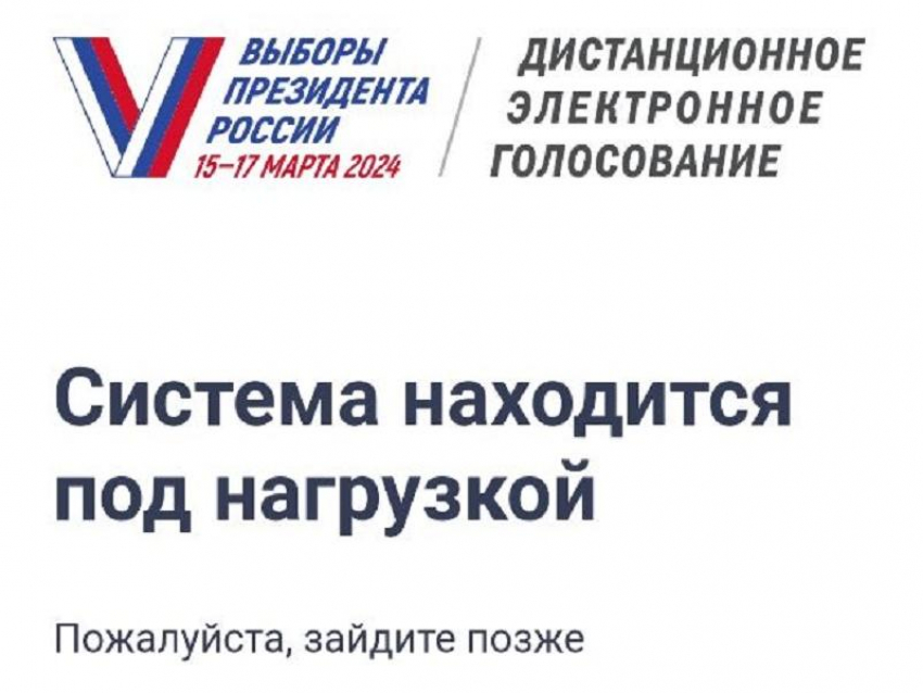 Проблемы с «Госуслугами» во время выборов президента объяснили в Воронеже 