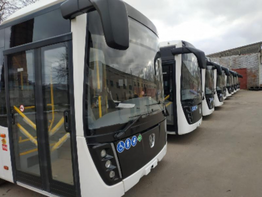 69 новых автобусов появятся до конца года в Воронежской области